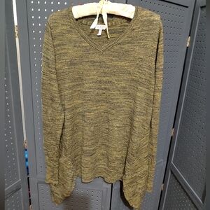 LOGO by Lori Goldstein Khaki V-Neck Sweater